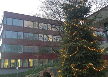 Weihnachtsbaum vor dem Bornheimer Rathaus