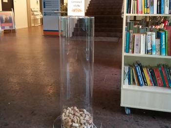 Der neue Korkensammelbehälter in der Bürgerhalle des Bornheimer Rathauses