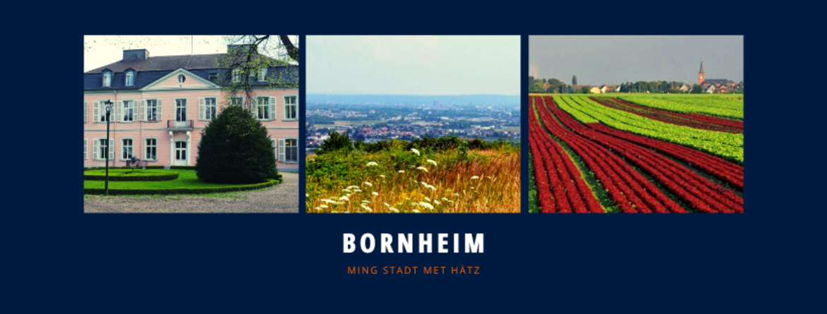 Titelbild Facebook-Seite der Stadt Bornheim